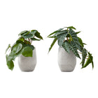 Monarch Specialties 8" Artificial Indoor Alocasia - Table - White Cement Pots - Set of 2-Turn any space into an oasis with this set of 2 artificial Alocasia plants that stand up to 8" tall, adding some vibrant greenery to your home or office