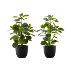 Monarch Specialties 14" Artificial Indoor Ficus - Table - Black Pots - Set of 2-Standing at 14" tall add this set of 2 artificial Ficus Elastica potted plants to bring some greenery to your indoor space
