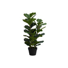 Monarch Specialties - Plante Artificielle - 32 po H - Arbre À Violons - Mis En Pot - Touche Réelle - Feuilles Vertes - Pot Noir-Ajoutez un éclat de verdure à votre maison ou bureau avec cet arbre d'intérieur artificiel de 32 po de haut dans un pot noir de 6 po