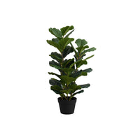 Monarch Specialties - Plante Artificielle - 32 po H - Arbre À Violons - Mis En Pot - Touche Réelle - Feuilles Vertes - Pot Noir-Ajoutez un éclat de verdure à votre maison ou bureau avec cet arbre d'intérieur artificiel de 32 po de haut dans un pot noir de 6 po