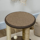 PawHut - Arbre à chat 17 po avec jouets suspendus, poteau à griffer en jute, sisal et herbe de mer-Conception à plusieurs niveaux qui répond au désir de grimper de votre animal 