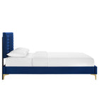 Modway - Sofia Lit plateforme complet en velours haute performance avec capitonnage vertical et pieds en métal doré - Marine-Poutre centrale renforcée
