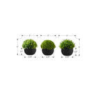 Monarch Specialties - Plante Artificielle - 5 po H - Gazon - Mis En Pot - Ensemble De 3 - Plantes Vertes - Pots Noirs-Ces plantes de table d'intérieur faciles à entretenir sont fabriquées à partir de matériaux de la plus haute qualité et ne nécessitent ni entretien ni arrosage, pour des accents décoratifs durables et respectueux de l'environnement qui dureront toute une vie