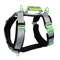Healthy Harness Ultimate Urban Premium Dog Harness - Silver - Medium-No-pull, no-choke design-prevents harmful pressure on your dog’s neck and throat for safer, healthier walks