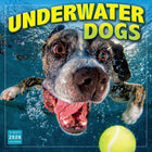 Sellers Publishing Inc. - Calendrier mural 2026 - Underwater Dogs - Anglais-Grandes grilles pleine page de 30 cm x 30 cm (12 po x 12 po) faciles à utiliser avec petites grilles d'aperçu de mois
