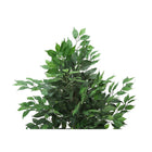 Monarch Specialties - Plante Artificielle - 58 po H - Arbre Ficus - Mis En Pot - Feuilles Vertes - Pot Noir-6