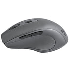 BlueDiamond Track Comfort Wireless Mouse - Grey-Overall Dimensions: 4.4" L x 2.75" W x 1.4" H