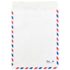JAM Paper Enveloppes pour correspondance aérienne en Tyvek à ouverture au sommet, 9 x 12, blanc, 500/paquet-Fermeture gommée