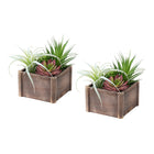Monarch Specialties 9371 10" Tall Artificial Succulents - Brown Wooden Pots - Set of 2-This set of 2 artificial plants features 10" tall artificial succulents designed to add a refined decorative touch to any table, shelf, or surface