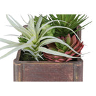Monarch Specialties 9371 10" Tall Artificial Succulents - Brown Wooden Pots - Set of 2-Crafted from high-quality materials, these artificial plants provide the appearance of live greenery with no maintenance required