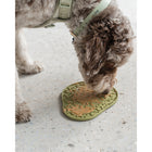 Dexypaws Avocado Enrichment Lick Mat-6