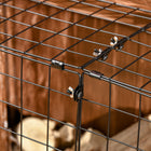 HOMCOM - Pare-étincelles de foyer extensible en acier avec écran de protection, noir-Couleur : Noir  