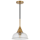 Hudson&Canal - Suspension Magnolia de 27,3 cm de large avec abat-jour en verre - Laiton/graines-Conçu pour une ampoule à incandescence de 60 W - ampoule LED de 9 W, ampoule fluorescente (CFL) de 13 W ou ampoule LED à ballast automatique de 9 W, ampoule à culot E26, ampoule non incluse