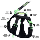 Healthy Harness - Harnais pour chien Supreme Sport - Vert - M-Plusieurs points d'attache pour la laisse : un mousqueton à l'avant pour le dressage, un mousqueton à l'arrière pour les promenades occasionnelles et une poignée robuste pour les urgences