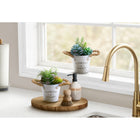 Monarch Specialties - 9361 Succulente Artificielle 7" de Haut - Pots en Métal Blanc - Ensemble de 2-Parfaitement dimensionnées pour toute table ou bureau, cet ensemble de plantes artificielles s'intègre parfaitement aux intérieurs modernes tout en ajoutant un point focal subtil et contemporain