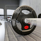 Soozier 2 x 22 lb Weight Plates Set - 2-Inch Barbell Weights Set-Three grip holes extend bar-free workout options 
