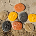 Yellow Door - Enquête sur le littoral, ensemble de 8 figurines en pierre-Ils peuvent être utilisés pour Créez de petits bassins rocheux, faites des empreintes dans la pâte à modeler et prenez des frottis de crayon. Les enfants apprécieront ces activités et en apprendront davantage sur l'un des environnements les plus riches et les plus diversifiés de la planète.