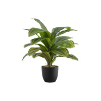 Monarch Specialties - Plante Artificielle - 17 po H - Dracaena - Mis En Pot - Touche Réelle - Feuilles Vertes - Pot Noir-Ajoutez de la verdure à votre maison avec cette Dracaena artificielle qui mesure 17 po de haut, installée dans un pot noir de 4 po