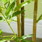 HOMCOM 4' Artificial Bamboo Tree for Indoor Home Decor - Green - 2 Pack-Colour: Green, Black 