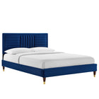 Modway - Sofia Lit plateforme Queen en velours haute performance avec capitonnage vertical et pieds en bois et Manchons en métal doré - Marine-Velours de performance résistant aux taches