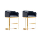 Manhattan Comfort - Louvre tabouret de comptoir mi-siècle moderne en similicuir 20" - noir et or titane - lot de 2-Tabouret de comptoir moderne du milieu du siècle avec dossier, parfait pour une utilisation au bar et dans la cuisine