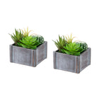 Monarch Specialties - 9370 Succulente Artificielle 8" de Haut - Pots en Bois Gris - Ensemble de 2-Cet ensemble de 2 plantes artificielles comprend des succulentes artificielles de 8" de hauteur, conçues pour apporter une touche décorative raffinée à toute table, étagère ou surface