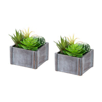 Monarch Specialties - 9370 Succulente Artificielle 8" de Haut - Pots en Bois Gris - Ensemble de 2-Cet ensemble de 2 plantes artificielles comprend des succulentes artificielles de 8" de hauteur, conçues pour apporter une touche décorative raffinée à toute table, étagère ou surface