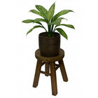 My Home My Living - Support à plantes rustique en bois - 20 cm de diamètre x 27 cm de hauteur - Marron-Capacité de poids : 7 lb