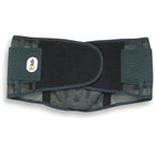 Ergodyne Proflex 1051 Mesh With Lumbar Pad, Mesh, Large-Qty/Pk - 1