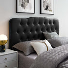 Modway Annabel Upholstered Vinyl Queen Headboard - Black-Deep inset buttons