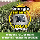 Bell + Howell Solar-Powered Disk Outdoor Path Lights with 8 LED Bulbs - 4 Pack-Easy Assembly and Stability: Designed for quick setup, the included four-corner stakes secure the lights firmly into the ground, preventing dislodging during lawn mowing or outdoor activities. Perfect walkway lights for paths, patios, and driveways