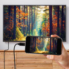 Staples - Tech Câble USB-C vers DisplayPort - 6 pi-4K @ 60 Hz ou 1440p à 144 Hz : résolution 4K impressionnante à 60 Hz ou 1440p à 144 Hz pour des images fluides