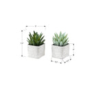 Monarch Specialties 9363 8" Tall Artificial Succulents - Grey Cement Pots - Set of 2-Built for lasting confidence, this artificial plant set is backed by a 5-year limited warranty, ensuring durability and long-term style