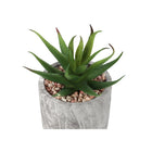 Monarch Specialties 6" Artificial Indoor Succulent - Table - Grey Cement Pots - Set of 2-No assembly required: dimensions: 5 in. L x 5 in. W x 7 in. H