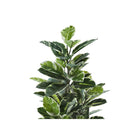 Monarch Specialties 52" Artificial Indoor Rubber Tree - Floor - Black Pot-6