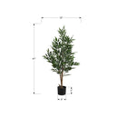 Monarch Specialties - Plante Artificielle - 47 po H - Acacia - Mis En Pot - Soie - Feuilles Vertes - Pot Noir-Cette plante artificielle à entretien facile est fabriquée à partir des matériaux de la plus haute qualité et ne nécessite pas d'entretien ou d'arrosage, pour un accent décoratif durable et respectueux de l'environnement qui durera toute une vie