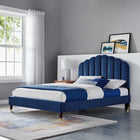 Modway Daisy Performance Velvet Queen Platform Bed - Navy-Wood Legs With Gold Metal Sleeves