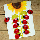 Yellow Door - Cartes de nombres précoces Coccinelles, lot de 16-Permet aux enfants de trier selon de nombreux critères différents