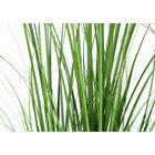 Monarch Specialties 47" Artificial Indoor Grass Tree - Floor - Black Pot-5 year limited warranty against manufacturer's defects