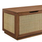 Modway Soma 47" Rattan Storage Bench - Walnut-9