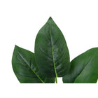 Monarch Specialties - Plante Artificielle - 17 po H - Aureum - Mis En Pot - Touche Réelle - Feuilles Vertes - Pot Blanc-Garantie limitée de 5 ans contre les défauts de fabrication