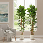 HOMCOM 6' Faux Fiddle Leaf Fig Tree - Green - 2 Pack-Material: PEVA, Wood, Cement, PP 