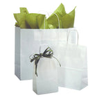 Eddie's Recycled Shopper Paper Bag - 16" x 6" x 19" - White - 100 Pack-Thicker and sturdier paper shopping bag