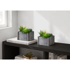 Monarch Specialties - 9370 Succulente Artificielle 8" de Haut - Pots en Bois Gris - Ensemble de 2-Conçues avec des matériaux respectueux de l'environnement, cet ensemble de plantes artificielles propose une solution décorative durable, idéale comme accent pour la maison ou le bureau
