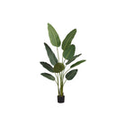 Monarch Specialties - Plante Artificielle - 60 po H - L'Arbre De L'Oiseau De Paradis - Mis En Pot - Feuilles Vertes - Pot Noir-Ajoutez un peu de verdure à votre espace avec cet arbre oiseau du paradis artificiel qui mesure 60 po de haut dans un pot noir de 5 po