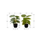 Monarch Specialties - Plante Artificielle - 13 po H - Épipremnum - Mis En Pot - Ensemble De 2 - Feuilles Vertes - Pots Noirs-Ces plantes d'intérieur à entretien facile sont faites avec des matériaux de la plus haute qualité et ne nécessitent aucun entretien ou arrosage, pour des accents décoratifs durables et écologiquement responsables qui dureront toute une vie