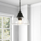 Hudson&Canal - Suspension Magnolia de 27,3 cm de large avec abat-jour en verre - Bronze noirci/grainé-Nettoyer avec un chiffon doux et sec, sans produits chimiques agressifs ni produits de nettoyage abrasifs