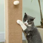 PawHut - Griffoir pour chat 32 po pour intérieur avec balle à taquiner en sisal, beige-Grande taille permettant aux chats de bien s’étirer et d’avoir plus d’espace pour griffer 
