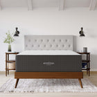Modway Aveline 16" Memory Foam Queen Mattress-Cooling Open Cell Ventilation