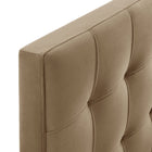 Modway - Lily Velours de performance résistant aux taches Tête de lit King Size, Taupe-Assemblée requise